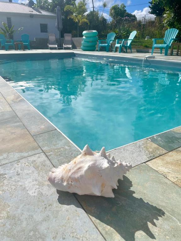 a shell is sitting next to a swimming pool at Vanille-colibris Le Domaine Mannou in Sainte-Rose