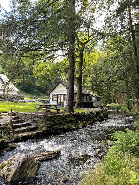 a park with a picnic table and a stream at Cuckoo Cabin, Tyn Y Cwm in Scyborycoed