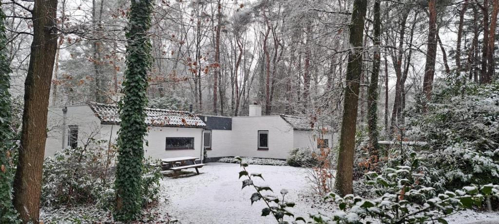 una baita nel bosco con la neve sul terreno di Knabbel en Babbel a Lochem