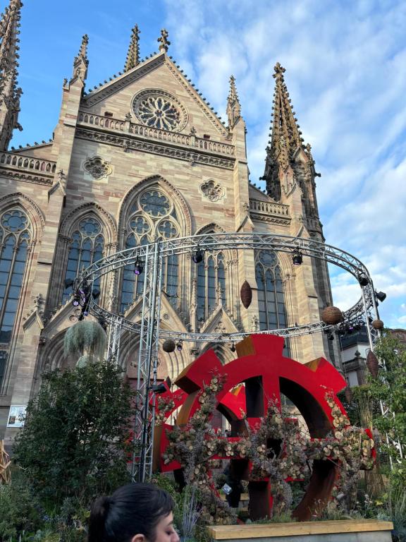 L Alsacienne F2 centre ville – photo 9