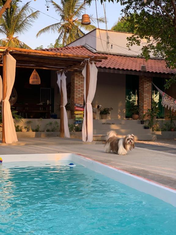 ein Hund liegt neben einem Pool in der Unterkunft Amaro Residence in Santo Amaro