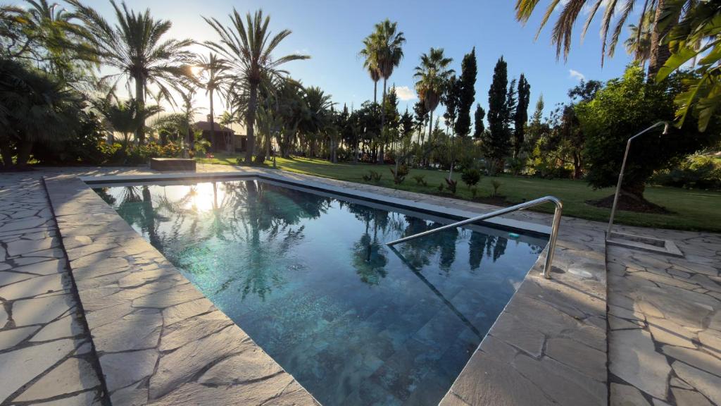 a swimming pool with palm trees in the background at Almabella in Breña Baja