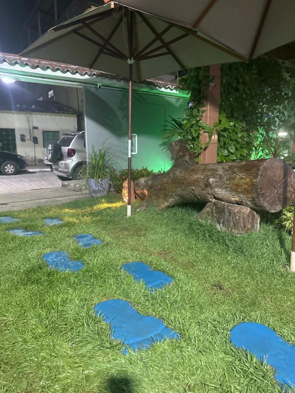 a garden with blue lights on the grass at A casa do Breno in São José da Coroa Grande