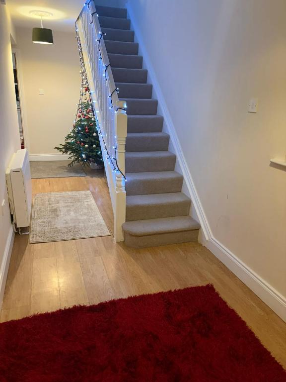 a staircase with a christmas tree and a rug at Riverchapel Guesthouse in Courtown