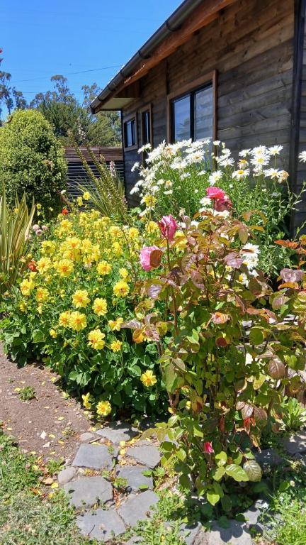 a garden of flowers in front of a house at CostaMonkul in Nahuentúe