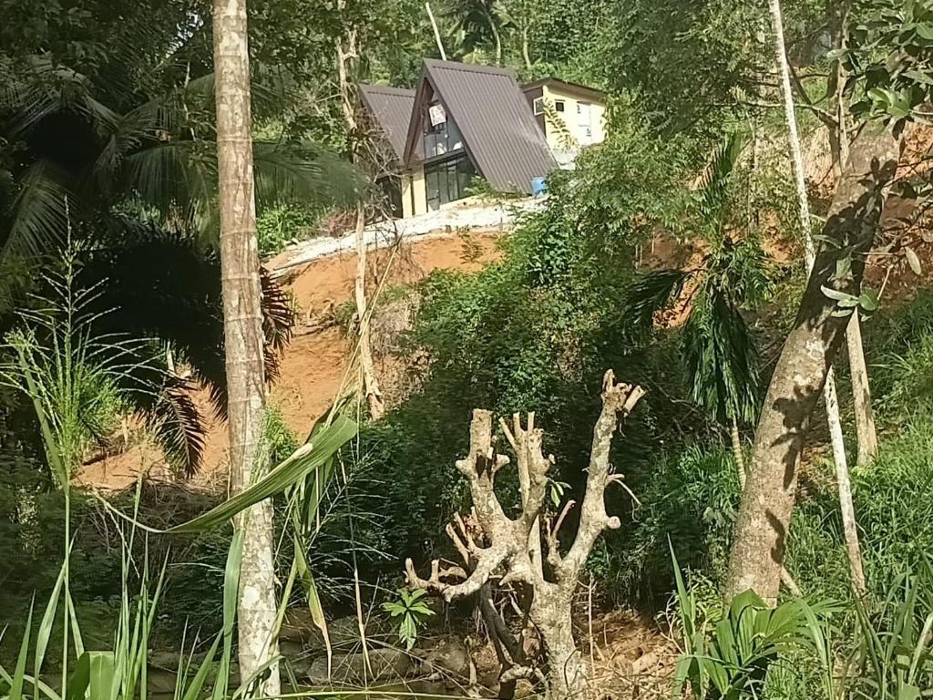 ein Haus mitten auf einem Feld mit Bäumen in der Unterkunft RMC Cabana in Udamulla