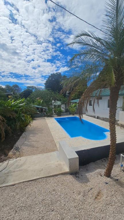 a blue swimming pool next to a palm tree at KAIA VILLAGE, Santa Teresa, Costa Rica in Santa Teresa Beach