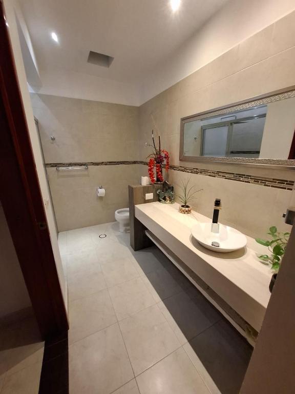 a bathroom with a sink and a toilet at suites vergel terraza in Orizaba