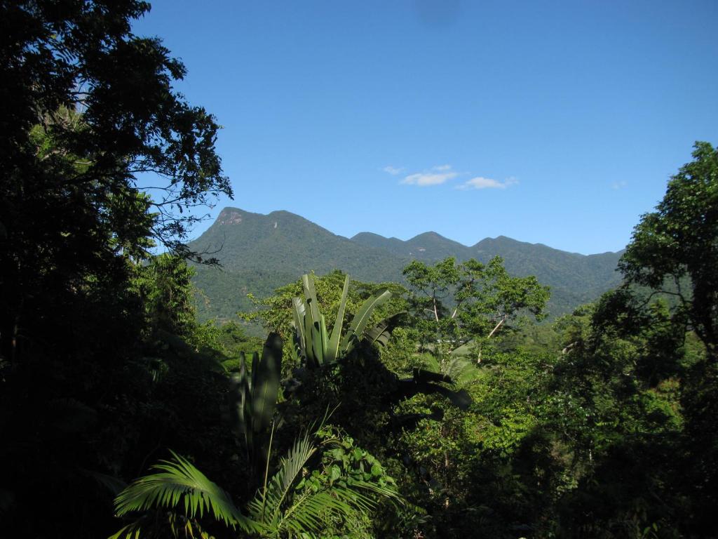 a view of a jungle with mountains in the background at Mossman Gorge Bed and Breakfast in Mossman