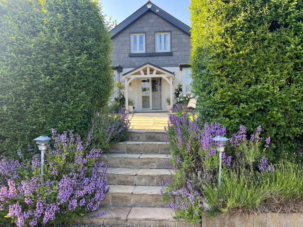 The Artist Residence Dublin Boutique B&B