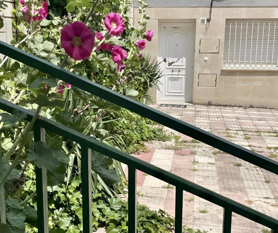 Céntrico y acogedor en Burgos - 13