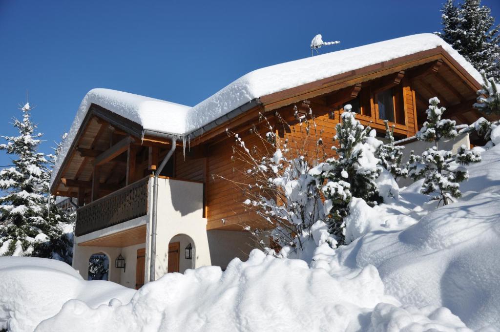 a log cabin covered in snow with trees in front at Chalet Au Gré Du Temps in Les Gets