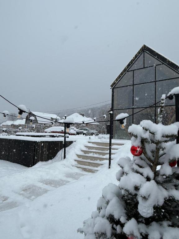 een met sneeuw bedekte boom voor een gebouw bij The Hope Firiza in Firiza