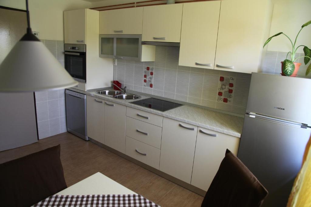 Kuchyň nebo kuchyňský kout v ubytování Holiday Home Mađerka