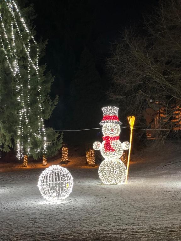 Ảnh trong thư viện ảnh của Ideal Predeal ở Predeal