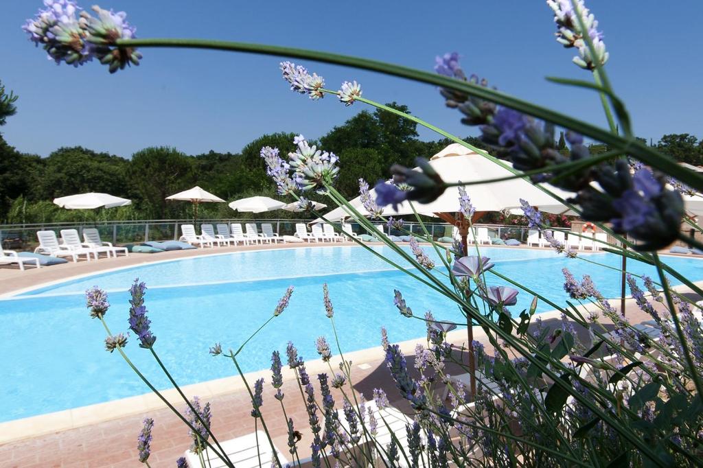 a large swimming pool with chairs and umbrellas at Il Borgo Centro Vacanze in Guardistallo