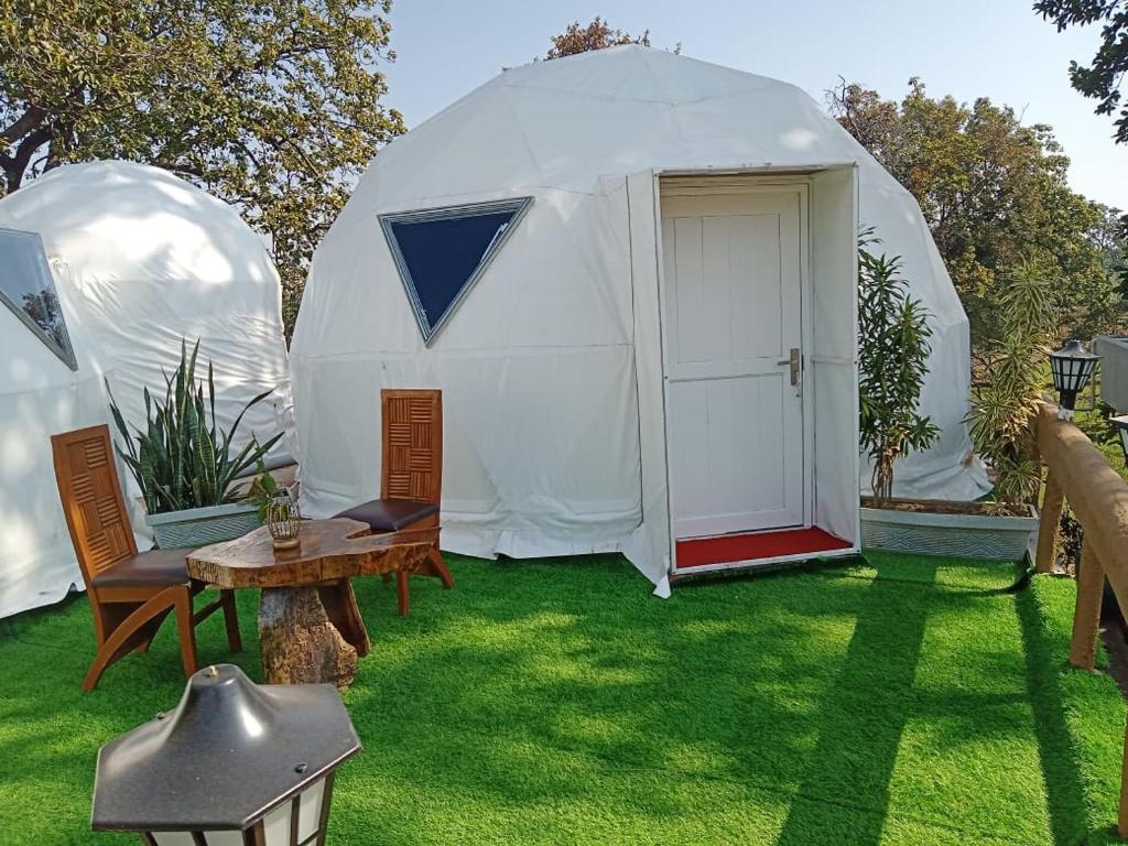 Jardí fora de Olive