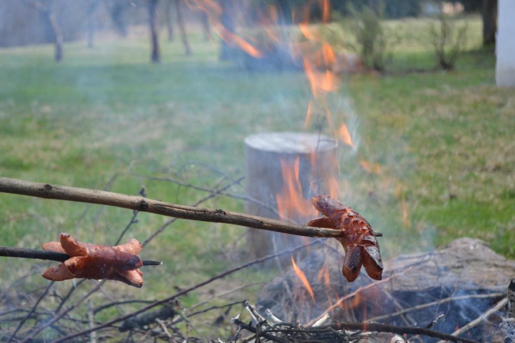 Fotografie z fotogalerie ubytování Chalupa pod Klepáčem v Králíkách