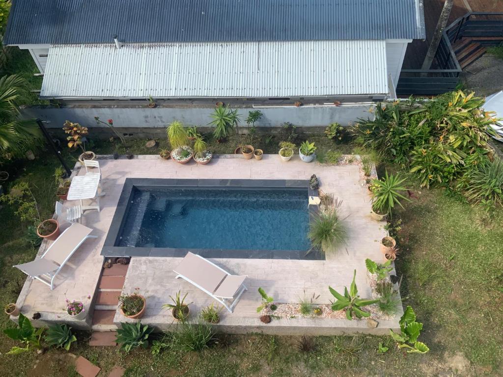 an overhead view of a swimming pool with chairs and plants at O kAZ de Petite île in Petite Île