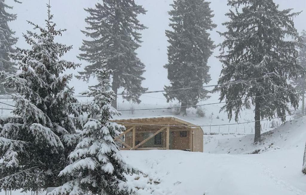 een houten gebouw in de sneeuw met bomen bij Virajlux in Dâmbovicioara