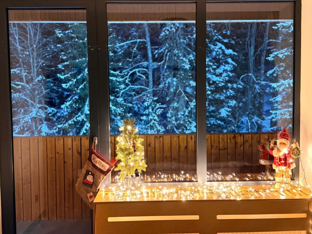 Billede fra billedgalleriet på Woods Inn Kokta-Mitarbi i Bakuriani