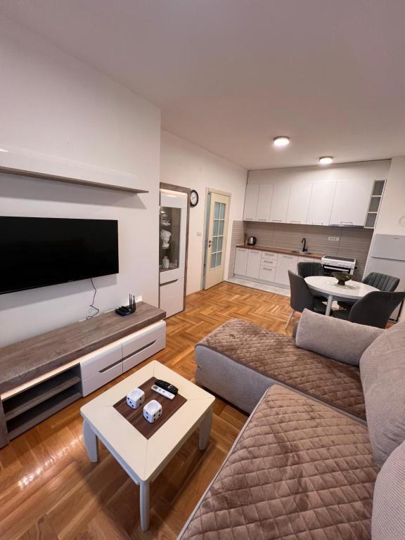 a living room with a large flat screen tv at Apartman Luka in Cetinje