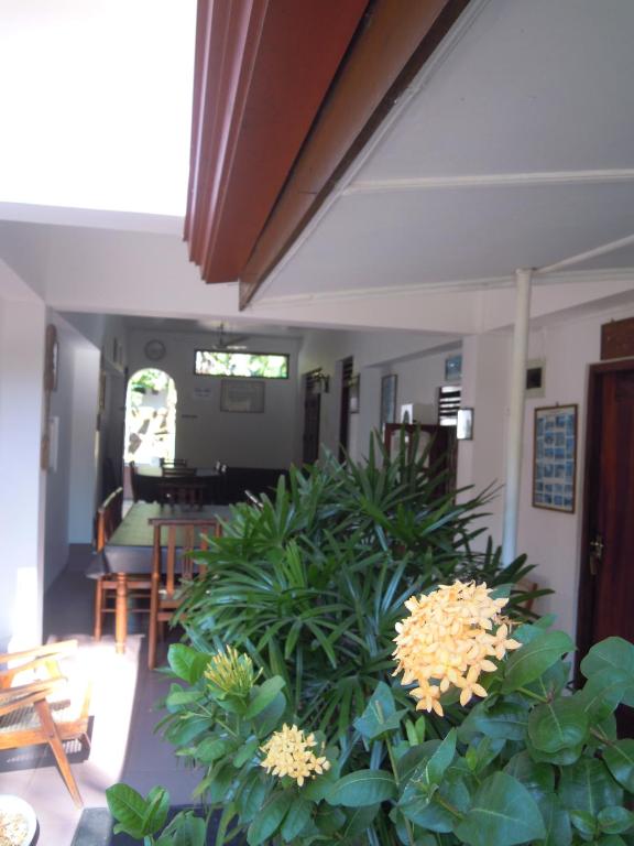 Zahrada ubytování Devi Tourist Home