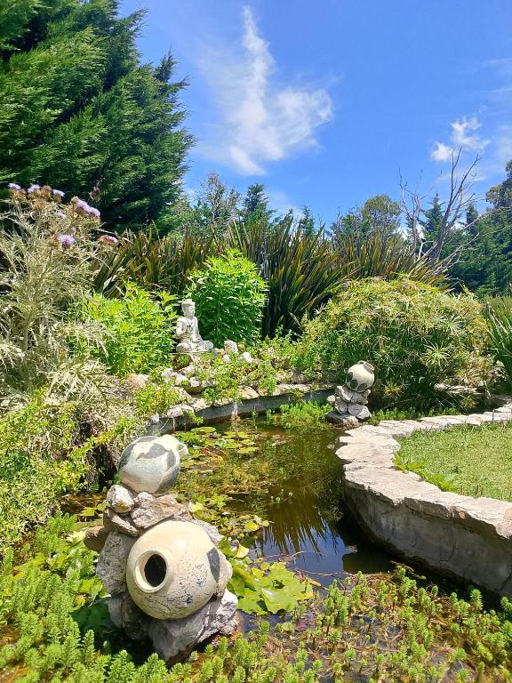 Complejo las azucenas