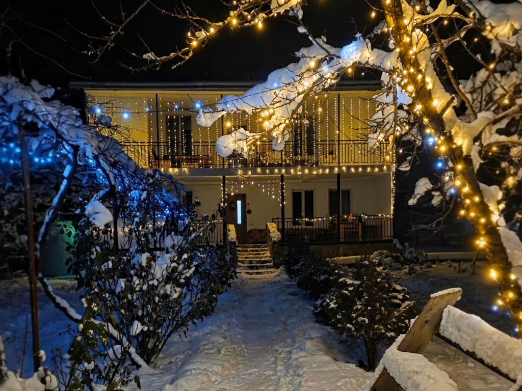 博尔若米Family hotel mountain panorama的雪中遮盖着圣诞灯的房子