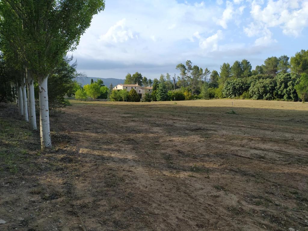 een groep witte bomen in een veld bij casa rural Mas Pare Sant in Alcoy