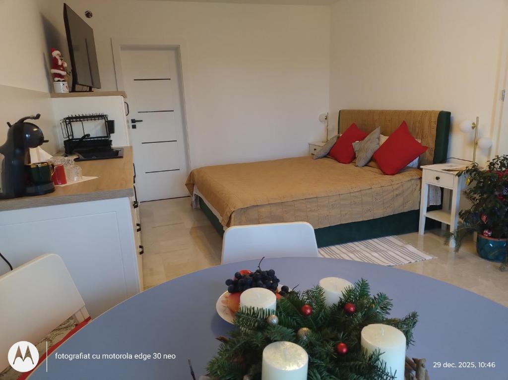 Postel nebo postele na pokoji v ubytování Casa Albinelor