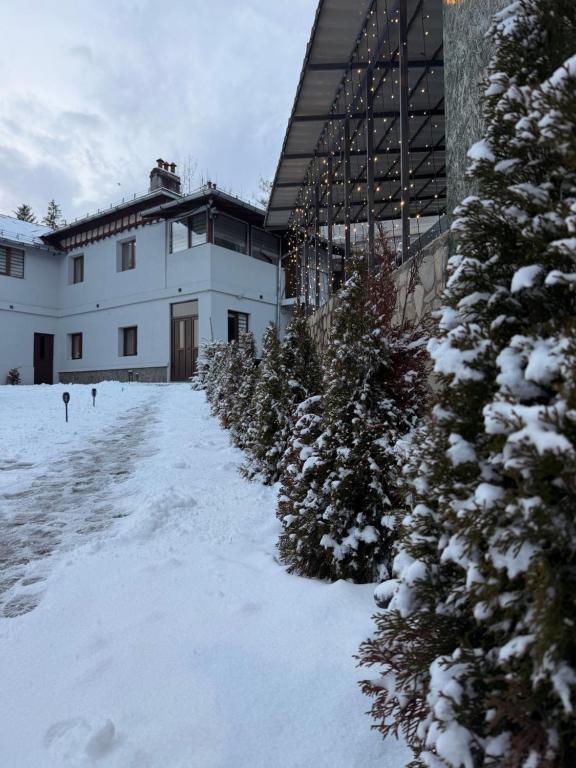 a white building with snow on the ground at Casa SEMA in Sinaia