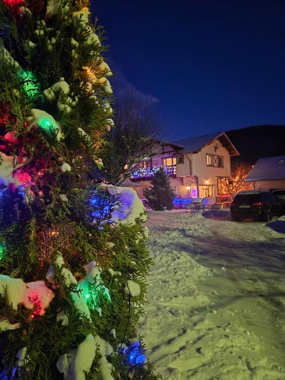 a christmas tree is decorated with lights in a yard at Casa cu Flori in Buşteni