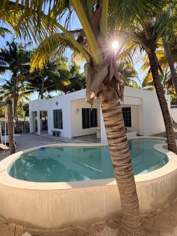 a pool with a palm tree in front of a house at Casa De Los Peces in San Crisanto