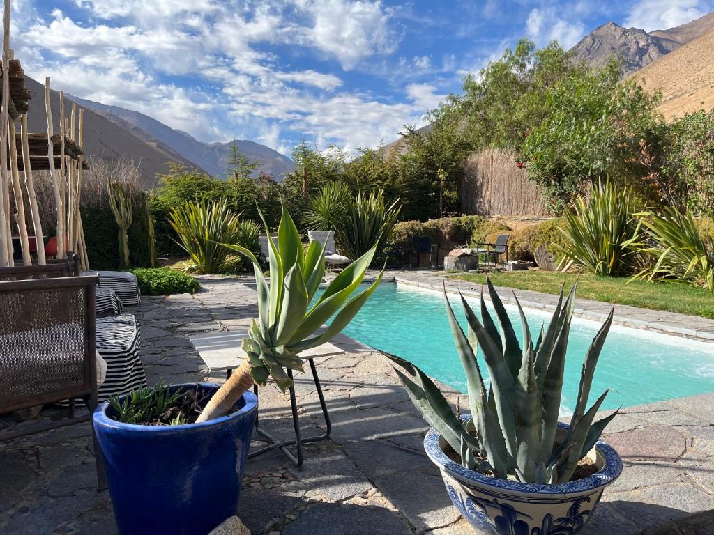two potted plants sitting next to a swimming pool at Cajanegra in El Cerrillo
