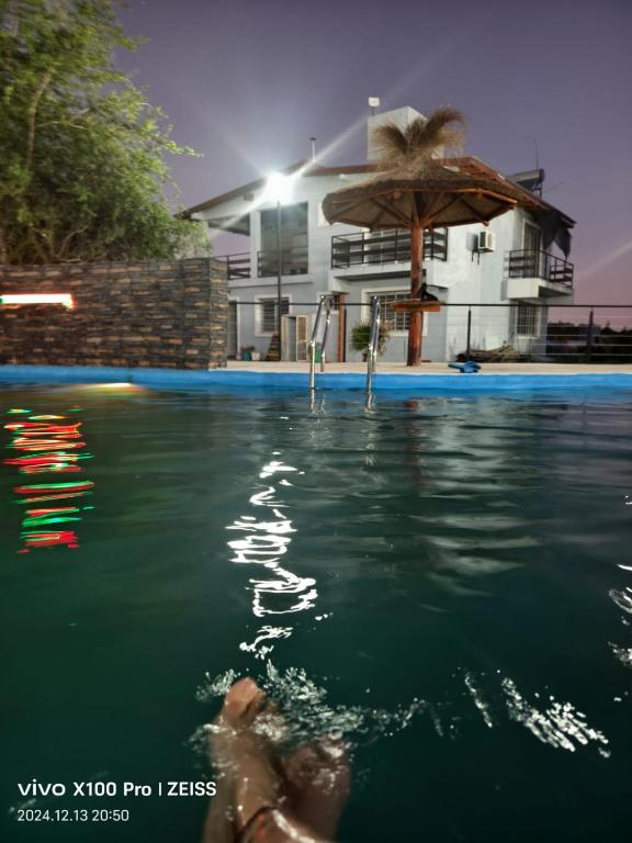 a person in the water in a swimming pool at DUPLEX Stadium in Tanti