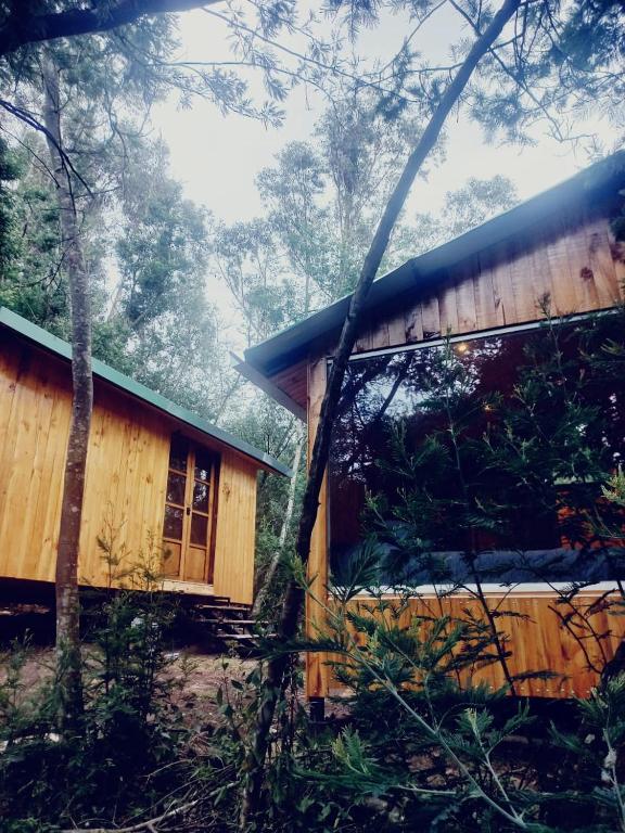 a wooden house in the middle of a forest at Bosque Venado de Oro in Guatavita