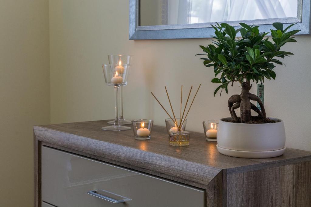 Fotografia z galérie ubytovania Apartament Zdrojowa 45 v destinácii Kudowa-Zdrój