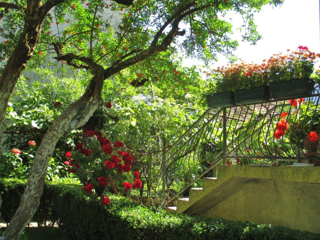 Um jardim no exterior de Apartments Kordić