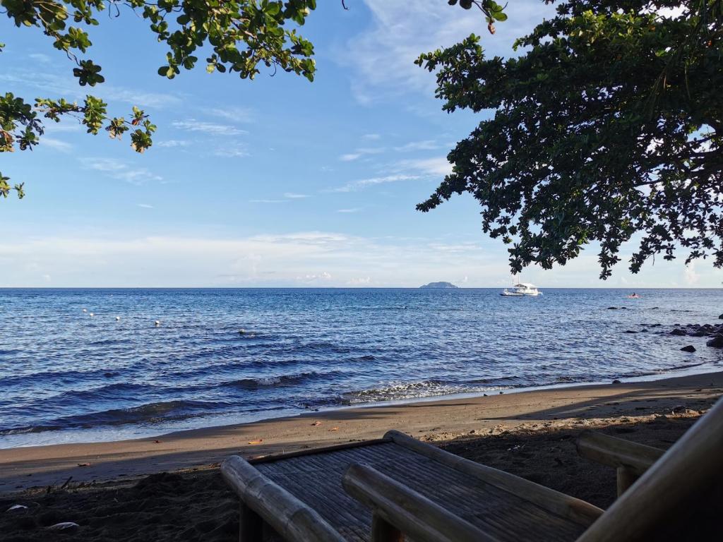 a bench on the beach with a boat in the water at Groups & Families Glamping Dome Beach Resort Dauin in Dauin