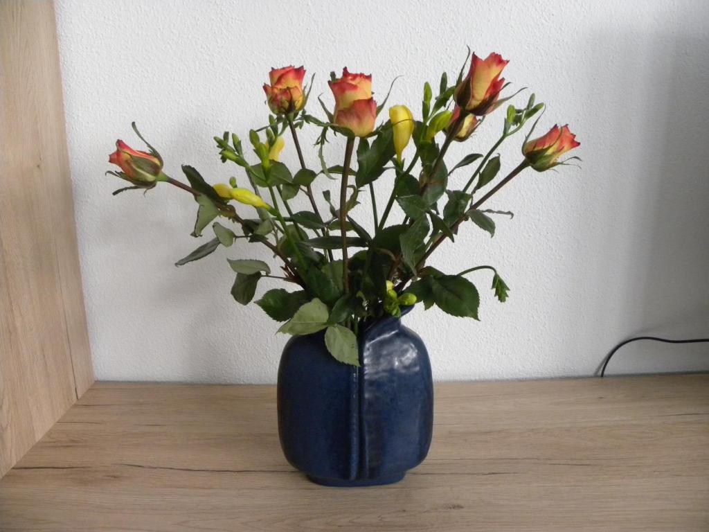 Ferienwohnung Alte B3 - 11