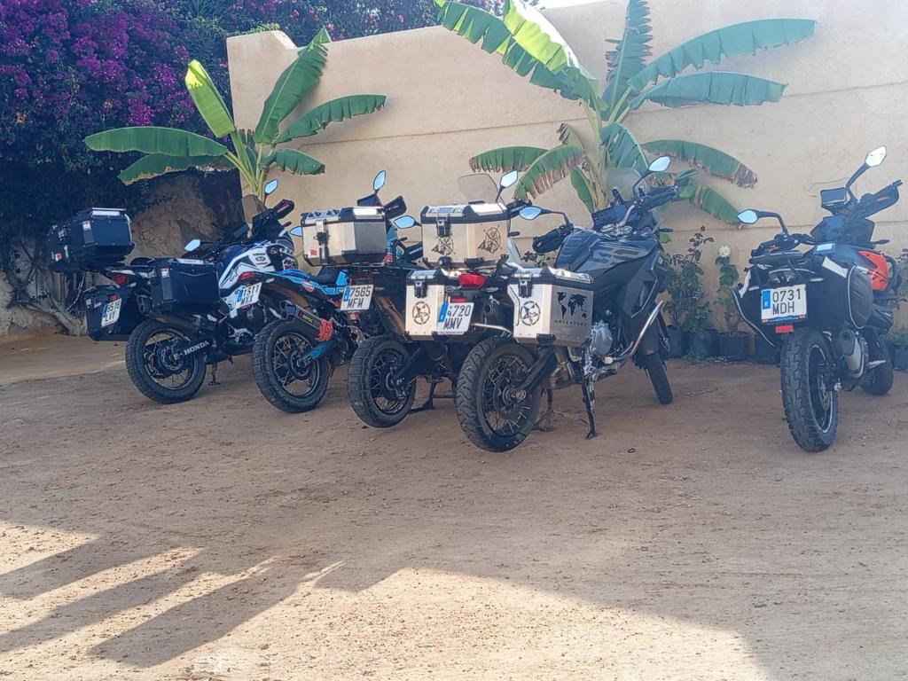 een groep motorfietsen geparkeerd naast een muur bij Appartement Patricia Uniquement les familles in Oualidia