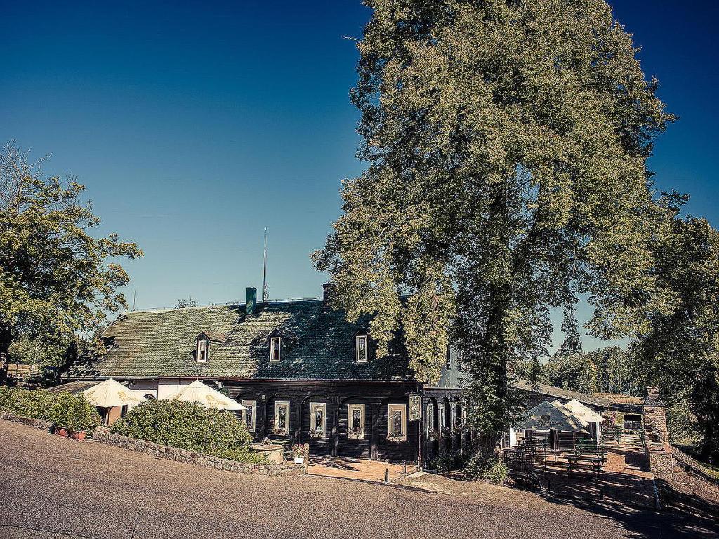 ein altes Haus mit einem großen Baum davor in der Unterkunft Pension Dymník in Rumburk