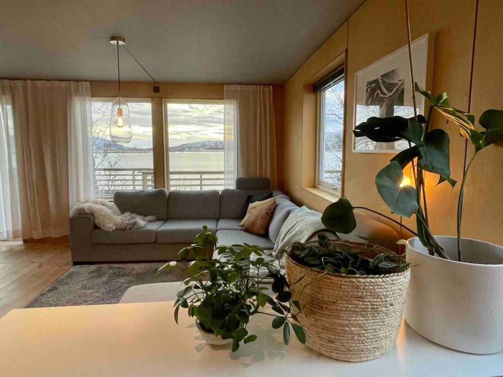a living room with a couch and some plants at Lofoten Seaside House in Offersøya