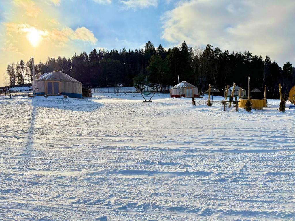 un campo coperto di neve con cupole e alberi di Glamping Niebiańska Osada Jurty Dolnośląskie a Polanica-Zdrój
