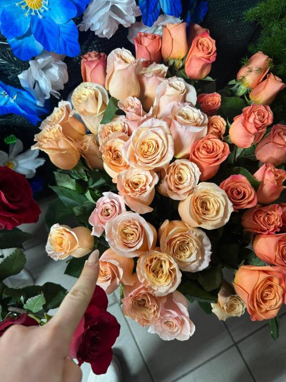 Billede fra billedgalleriet på Casa Daiana i Aninoasa