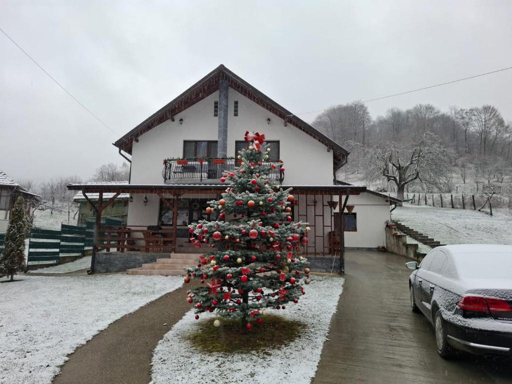 een kerstboom voor een huis bij Casa Alex in Curtea de Argeş