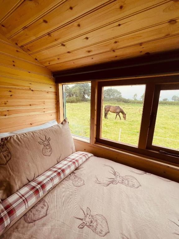 a bed in a room with a horse through a window at Cosy Cabin - Near Belfast International Airport in Aldergrove