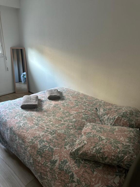 a bed with two pillows on it in a bedroom at ici ville d'histoire in Nevers