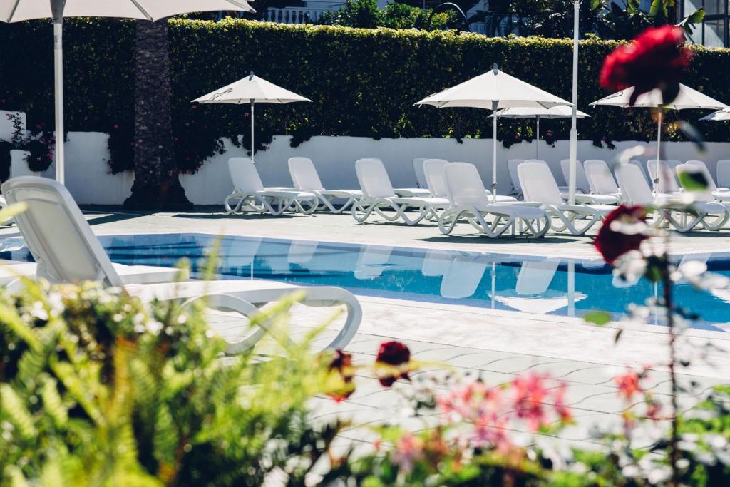 Bazén v ubytovaní Route Active Hotel alebo v jeho blízkosti